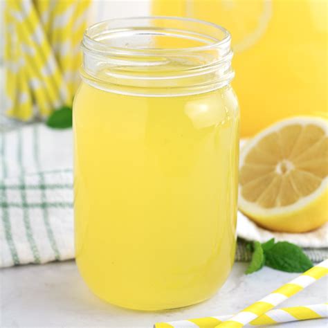 Yummy Frozen Lemonade - Borrowed Bites