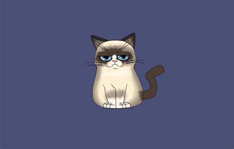 Grumpy Cat Cartoon Wallpapers - Top Free Grumpy Cat Cartoon Backgrounds ...