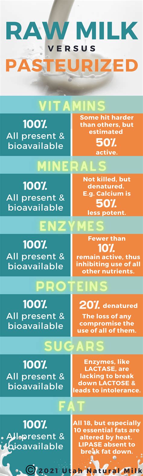 Raw Milk vs. Pasteurized: The Whole Story — Nourish with Kristin