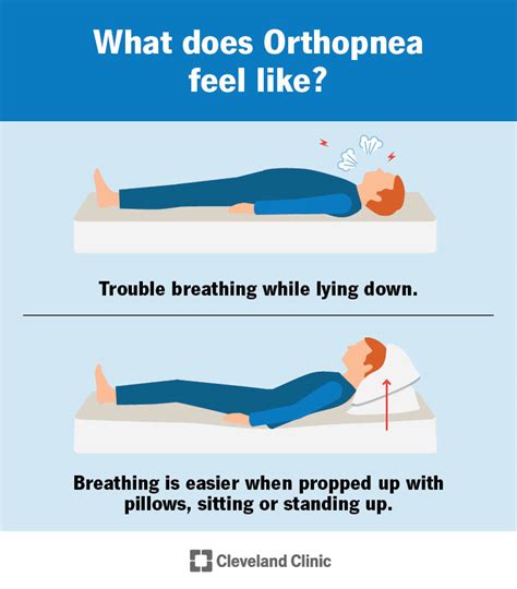 Orthopnea: Causes, Symptoms, Diagnosis & Treatment