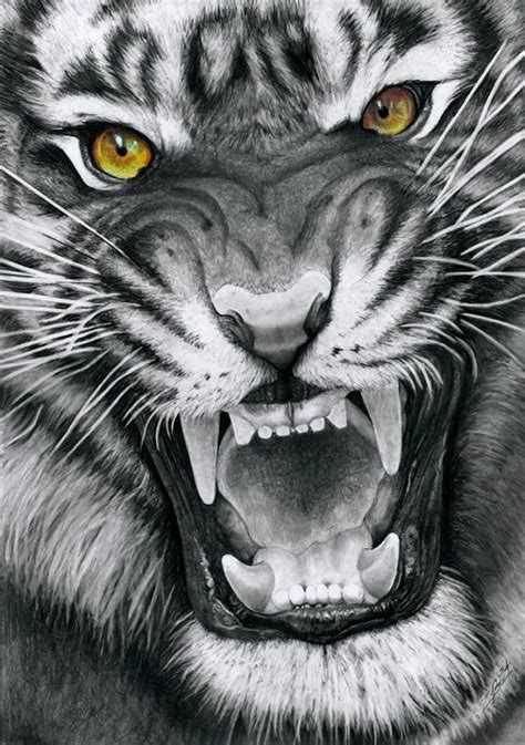 Pin by Iker Aguinaga on drawing animals | Tiger art, Animal drawings ...