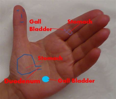 Pin on Health. Acupressure / Acupuncture