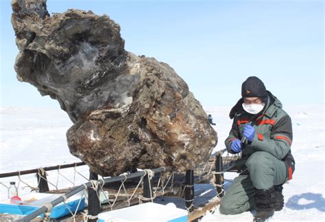 Frozen woolly mammoth found with flowing blood for the first time ...