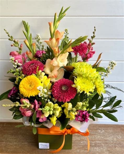 Bright and Cheerful Garden Box - Blossoms of Tweed Banora Florist