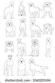 Group Large Middle Dogs Breeds Hand Stock Vector (Royalty Free) 1060205594