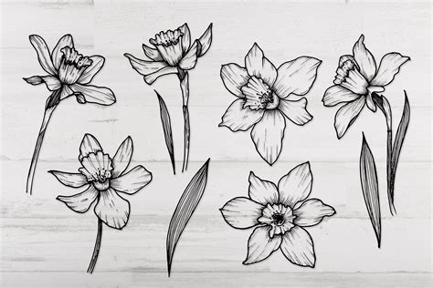 Narcissus Flower Tattoos, Daffodil Tattoo, Birth Flower Tattoos, Baby ...