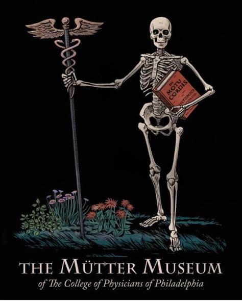 Home of the Mutter Museum's Online Gift Store! – Mutter Museum Store