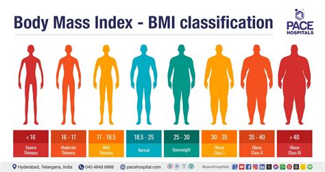 Body Mass Index - BMI Calculator, Ranges and Importance