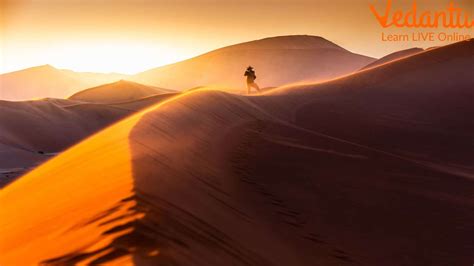 How Do Sand Dunes Form? Dunes Are Ridges Of Sand Formed By Waves.