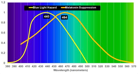 Why do we block blue light? - A simplified explanation – GembaRed