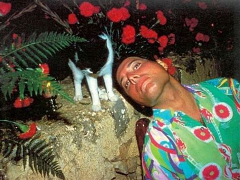 13 Rare Photos Of Freddie Mercury And His Cats