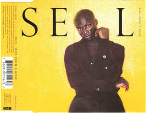 Seal - Kiss From A Rose | Releases | Discogs