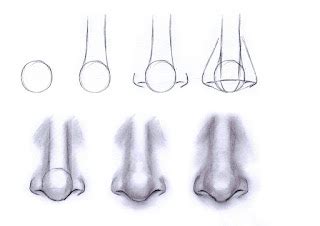 Drawing tutorials for beginners and beyond: 7 Steps on how to draw a nose