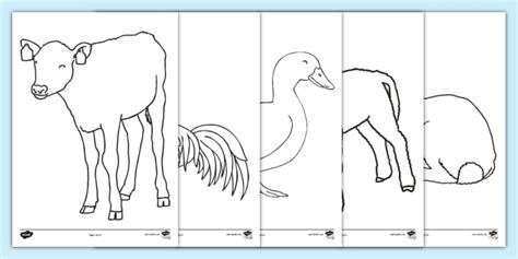 Farm Animal Coloring Sheets (Black & White, A4)