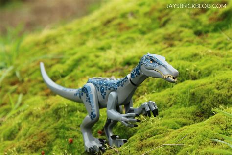 Review: LEGO 75935 Baryonyx Face-Off: The Treasure Hunt – Jay's Brick Blog