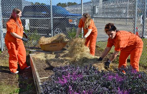 PHOTOS: Gwinnett County Jail Garden program | Slideshows ...