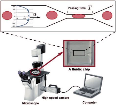 3 Prototypic design of image acquisition system. Sequential images of a... | Download Scientific ...