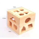 Buy Shape Classifying Wooden Cube l Kids Learning Cubes