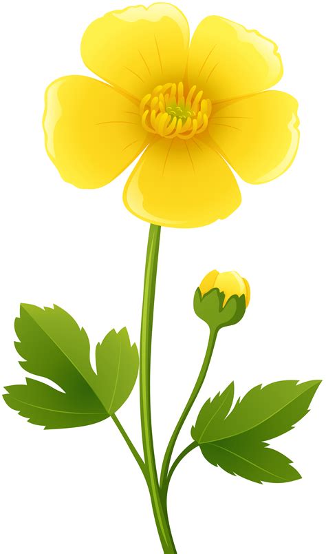 Yellow Flower Transparent PNG Clip Art Image | Gallery Yopriceville - High-Quality Free Images ...