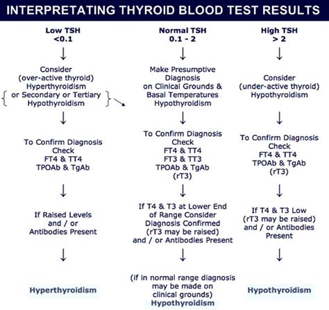 Hashimoto Thyroid Diet