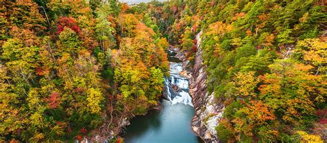 YOUR Guide to Enjoying Fall Colors in North Georgia | Georgia Cabins For You