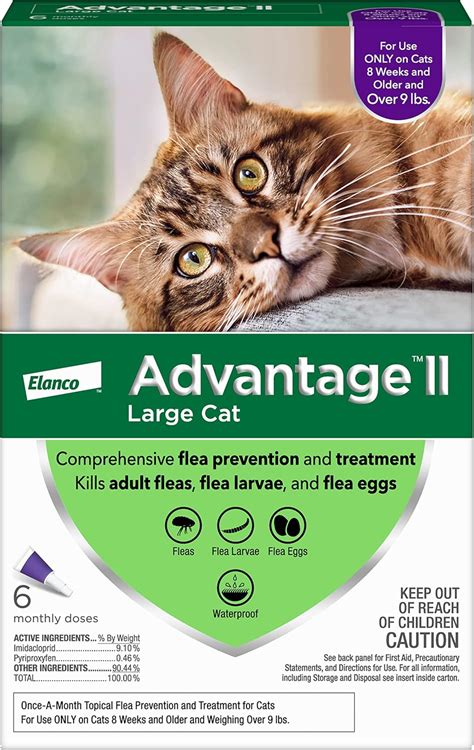 Buy Advantage II 6-Dose Large Cat Flea Prevention, Flea Prevention for Cats, Over 9 Pounds ...