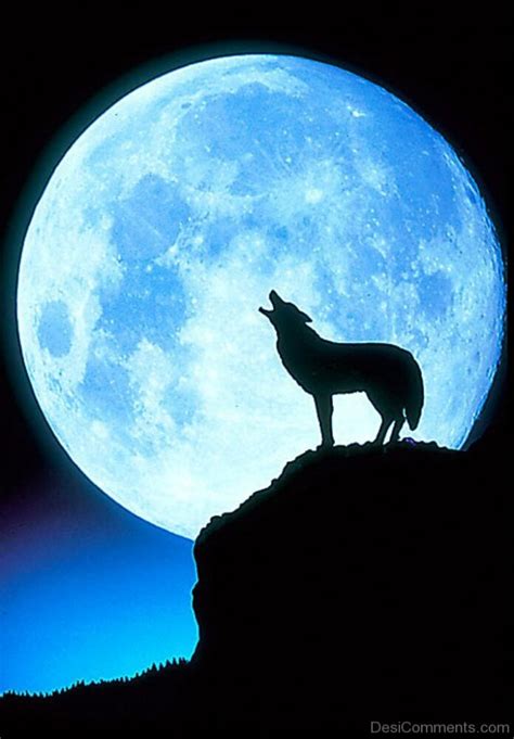 Stunning Pic Of Full Moon Day - Desi Comments