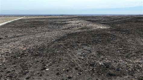 Largest Wildfire in Texas History Foretells Future of Worsening Climate ...