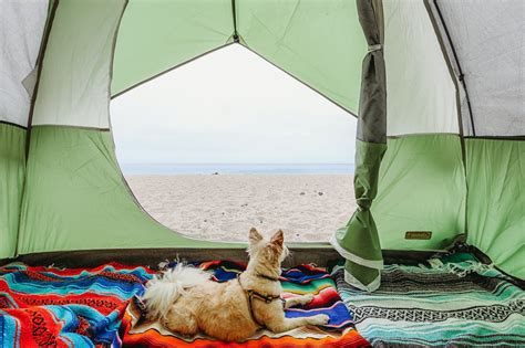 7 Superb Campgrounds Near Sunny Santa Barbara, California