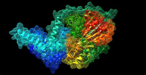 Scientists discover new antibiotic resistance gene