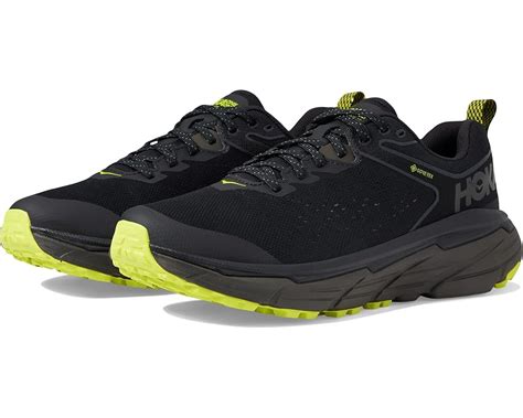 Hoka Challenger ATR 6 GORE-TEX® | Zappos.com