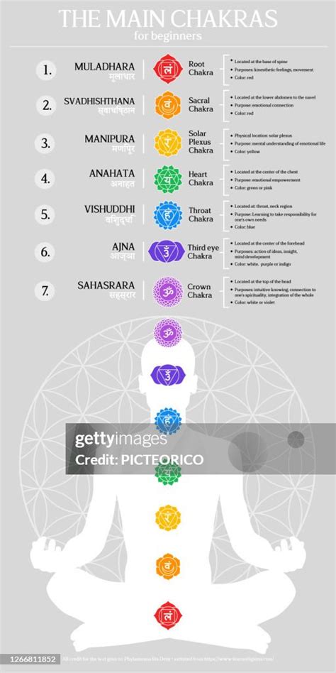 Chakra Energy Centers Infographic Illustration Seven Main Chakras Chart ...