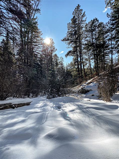 Santa Fe National Forest. [OC] [1792x828] : r/EarthPorn