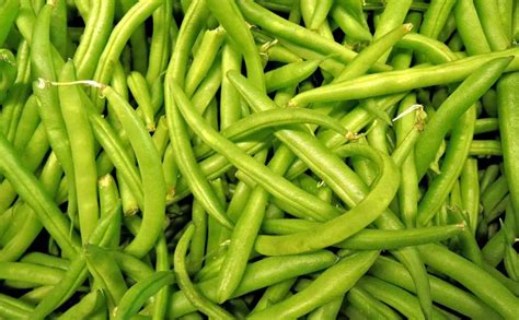 Can Fish Eat Green Beans? 4 Facts You Should Know