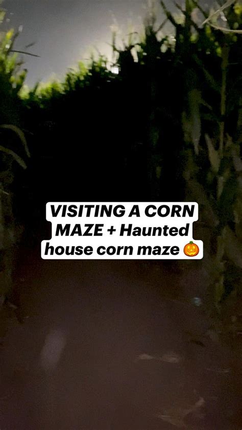 VISITING A CORN MAZE + Haunted house corn maze 🎃 | Corn maze, Corn maze ...