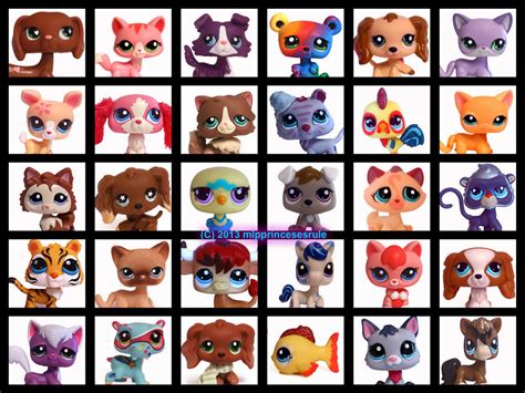 Littlest Pet Shop Rare Pets - Littlest Pet Shop Fan Art (35161466) - Fanpop