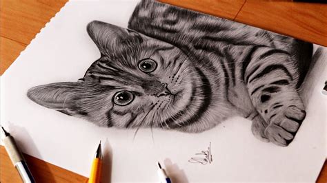 Drawing Cat with Pencils 😍 - YouTube