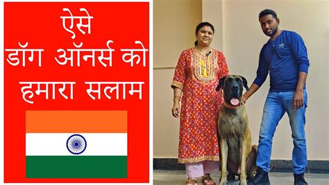 ऐसा OWNER हर DOG को नहीं मिलता | New Puppy to adult Dog Training & Basic Tips in Hindi - YouTube