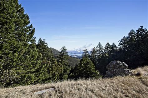 Marin County Hiking Trails in Mountain Tamalpais Stock Photo - Image of marin, exploring: 135072686