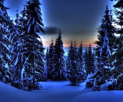 1920x1080px, 1080P free download | Blue Winter, forest, colorful, sunset, trees, abstract ...