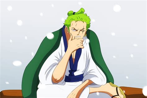 One Piece, Roronoa Zoro HD wallpaper Luffy, Fruit Du Demon, Brooks One Piece, Zoro One Piece ...