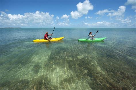 Eco-friendly adventures in the Florida Keys - Lonely Planet