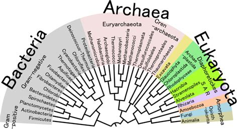 New tool helps find gene markers in microorganisms - DOE Joint Genome Institute