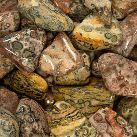 Leopard Skin Jasper Tumbled Stones, 3/4″ — Mexico - Gary's Gem Garden