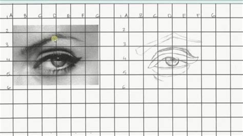 How to Draw Using the Grid Method | Curious.com