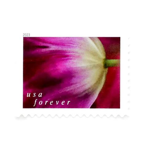 2023 US First-Class Forever Stamps – Tulip Blossoms booklet – Buy ...