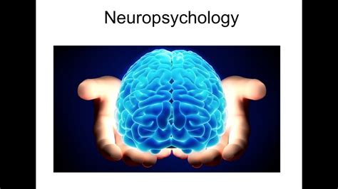 Neuropsychology 8.1: Memory and the Brain - YouTube