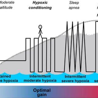 Summary of High Altitude/Hypoxic Training Techniques [18 ...