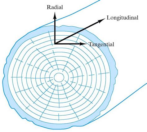 Radial, Axial and Tangential Direction of a Flow - Rod Ends India