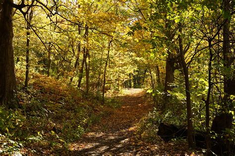 The Whens and Wheres of Kentucky Fall Foliage Viewing